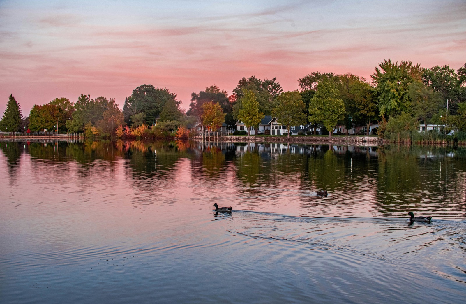 A Southeast Michigan lake at sunset, with houses and autumn trees along the far shore